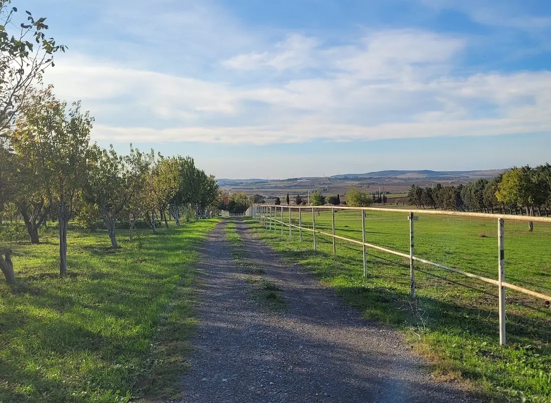 Silivri farm land